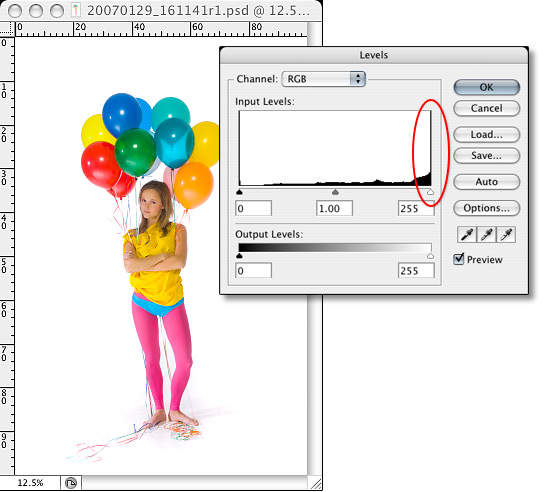 http://www.kevinconnery.com/imaging/samples/histograms/highkey_histogram.jpg